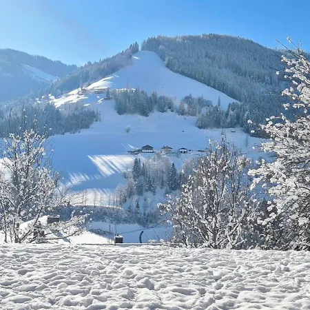 Chalet Royal Mountain Lodge- In Muehlbach Am Hochkoenig-10 Personen- Sauna- Wallbox- Amade- Hochkoenigcard- Guest Mobilty Ticket Muhlbach Am Hochkonig