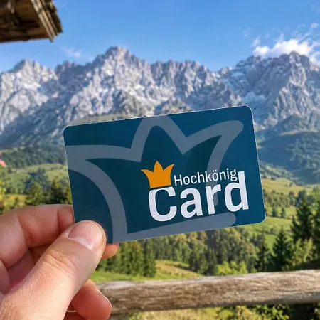 Royal Mountain Lodge- In Muehlbach Am Hochkoenig-10 Personen- Sauna- Wallbox- Amade- Hochkoenigcard- Guest Mobilty Ticket Mühlbach am Hochkönig