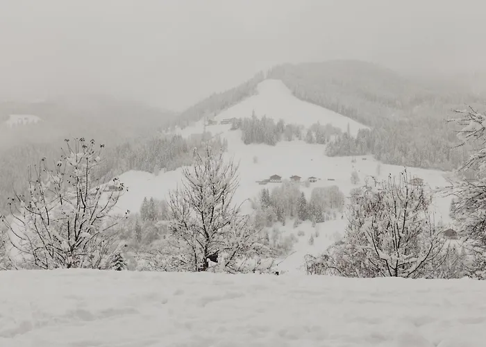 Шале Neu Royal Mountain - In -salzburger Land - Amade - Hochkoenigcard