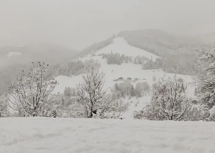 Neu Royal Mountain - In -salzburger Land - Amade - Hochkoenigcard Шале
